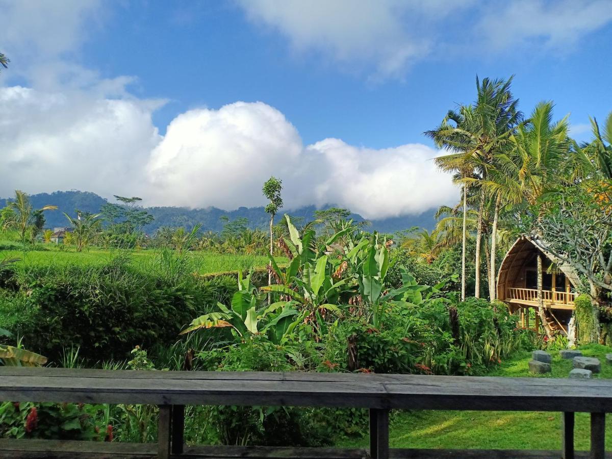 Jero Tumbuk Private Villa Selat ภายนอก รูปภาพ
