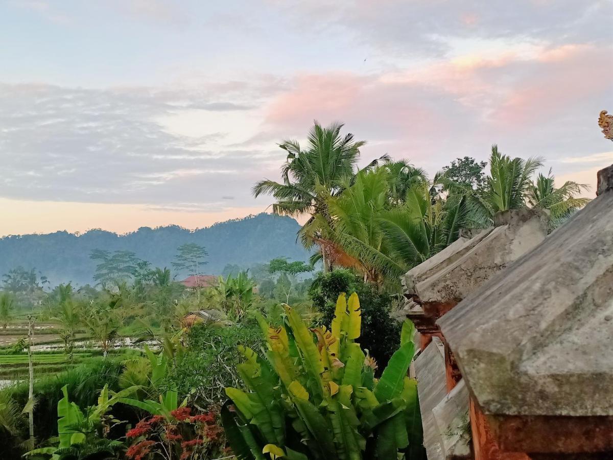 Jero Tumbuk Private Villa Selat ภายนอก รูปภาพ