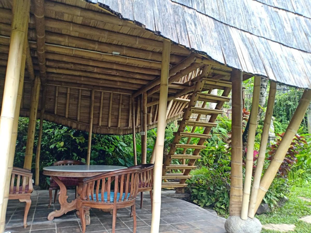 Jero Tumbuk Private Villa Selat ภายนอก รูปภาพ