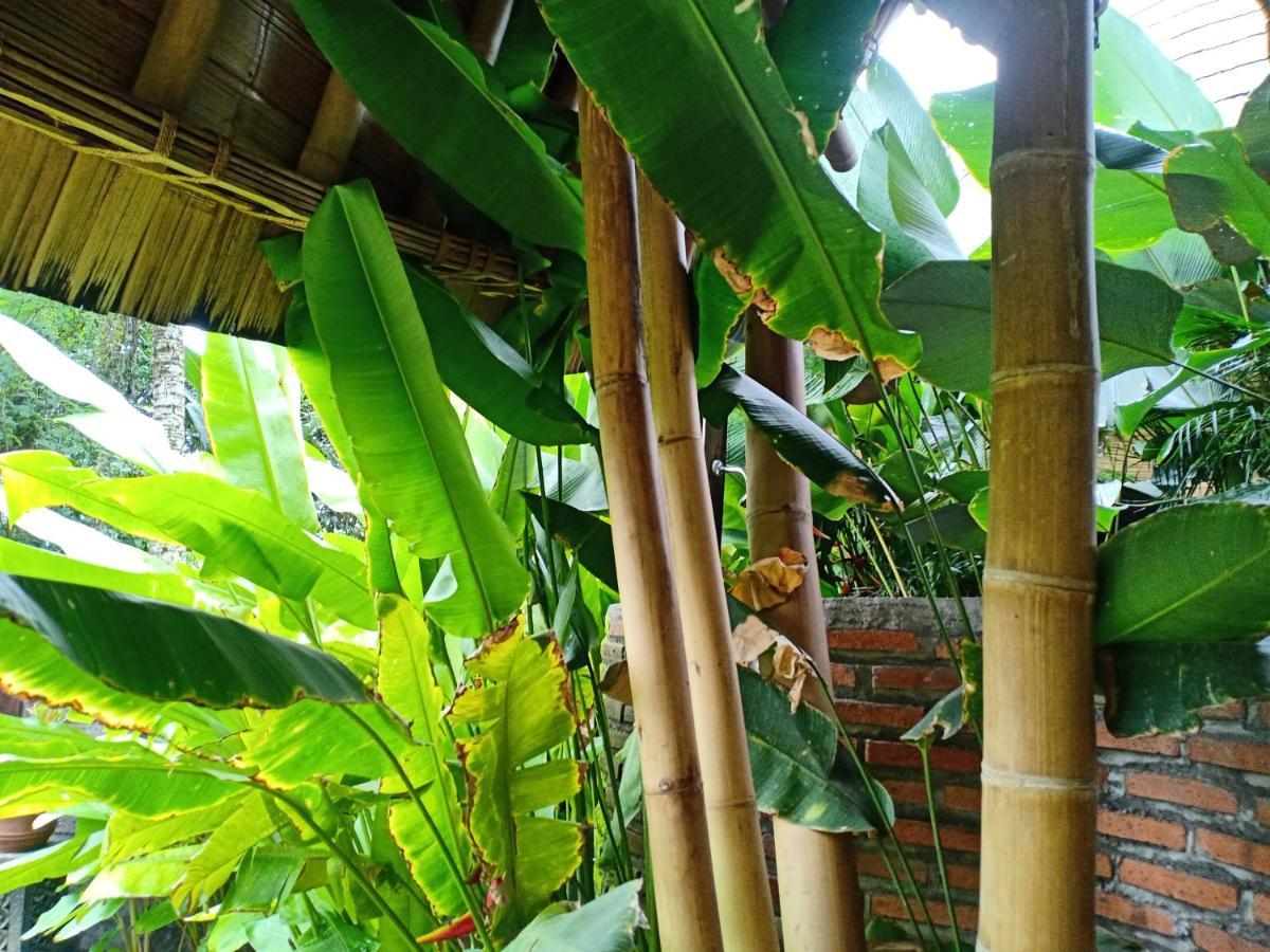 Jero Tumbuk Private Villa Selat ภายนอก รูปภาพ