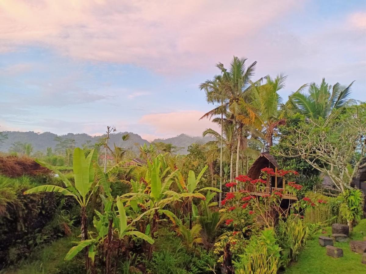 Jero Tumbuk Private Villa Selat ภายนอก รูปภาพ