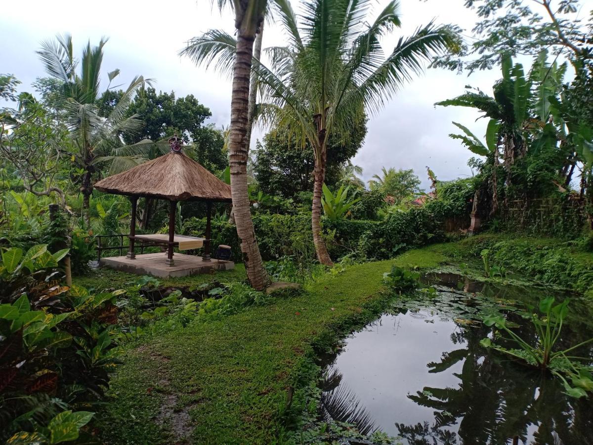 Jero Tumbuk Private Villa Selat ภายนอก รูปภาพ