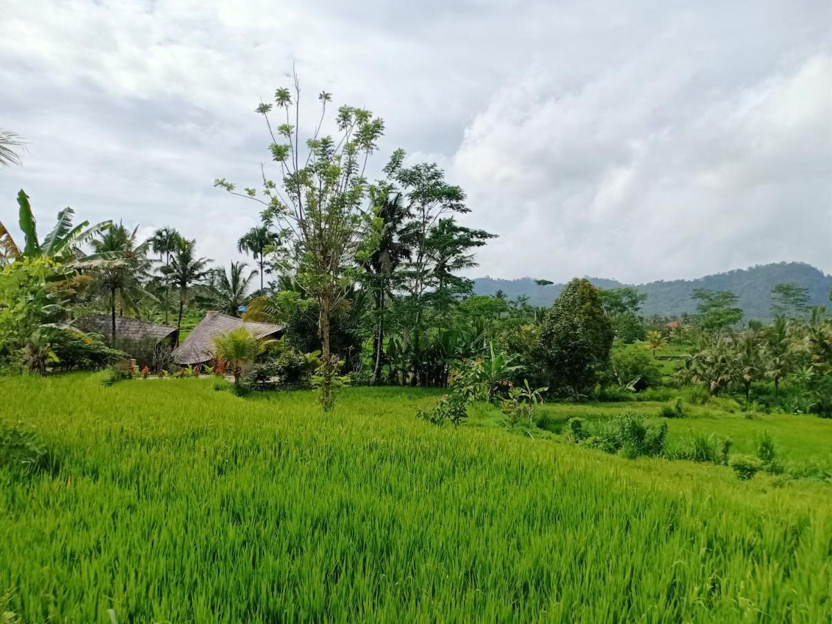 Jero Tumbuk Private Villa Selat ภายนอก รูปภาพ