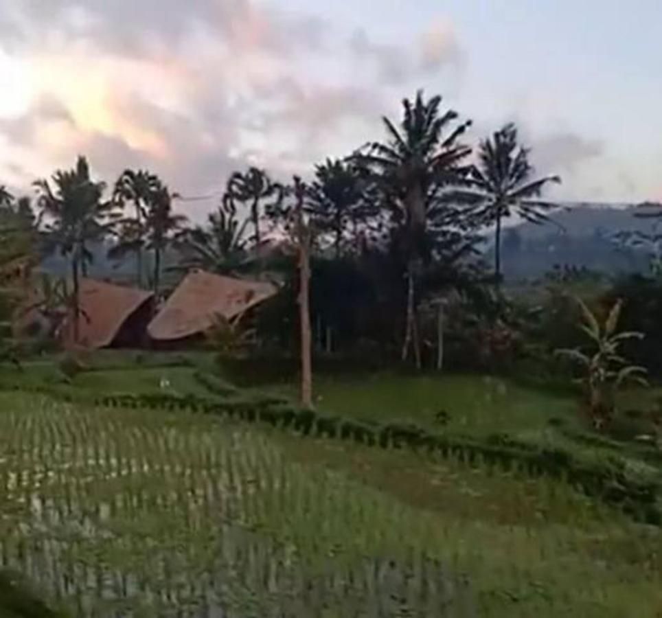 Jero Tumbuk Private Villa Selat ภายนอก รูปภาพ
