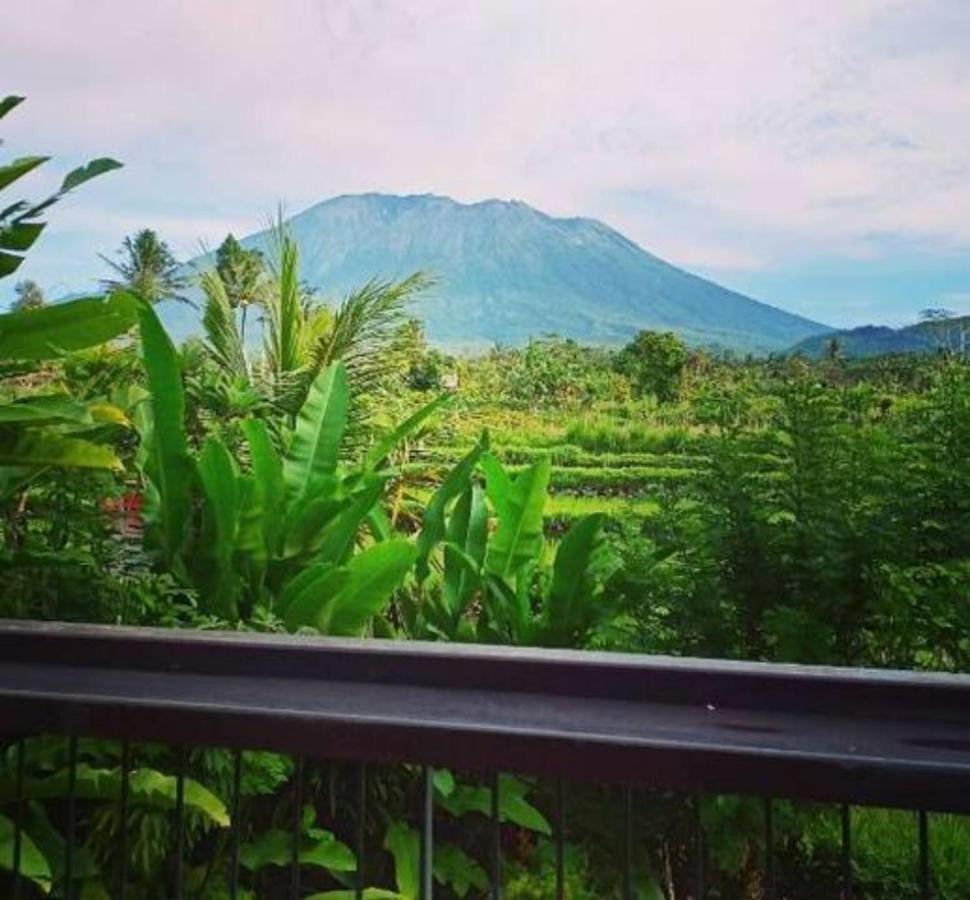 Jero Tumbuk Private Villa Selat ภายนอก รูปภาพ