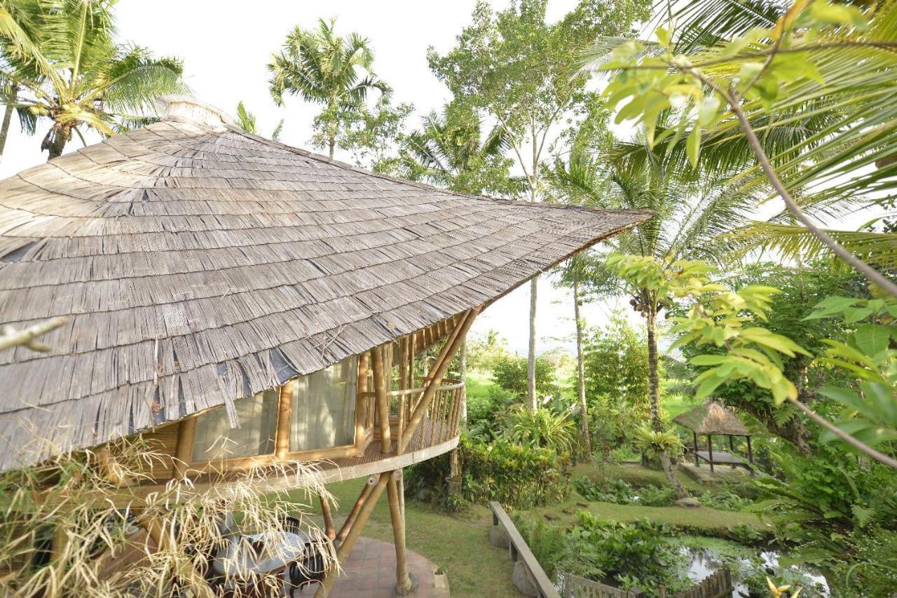 Jero Tumbuk Private Villa Selat ภายนอก รูปภาพ