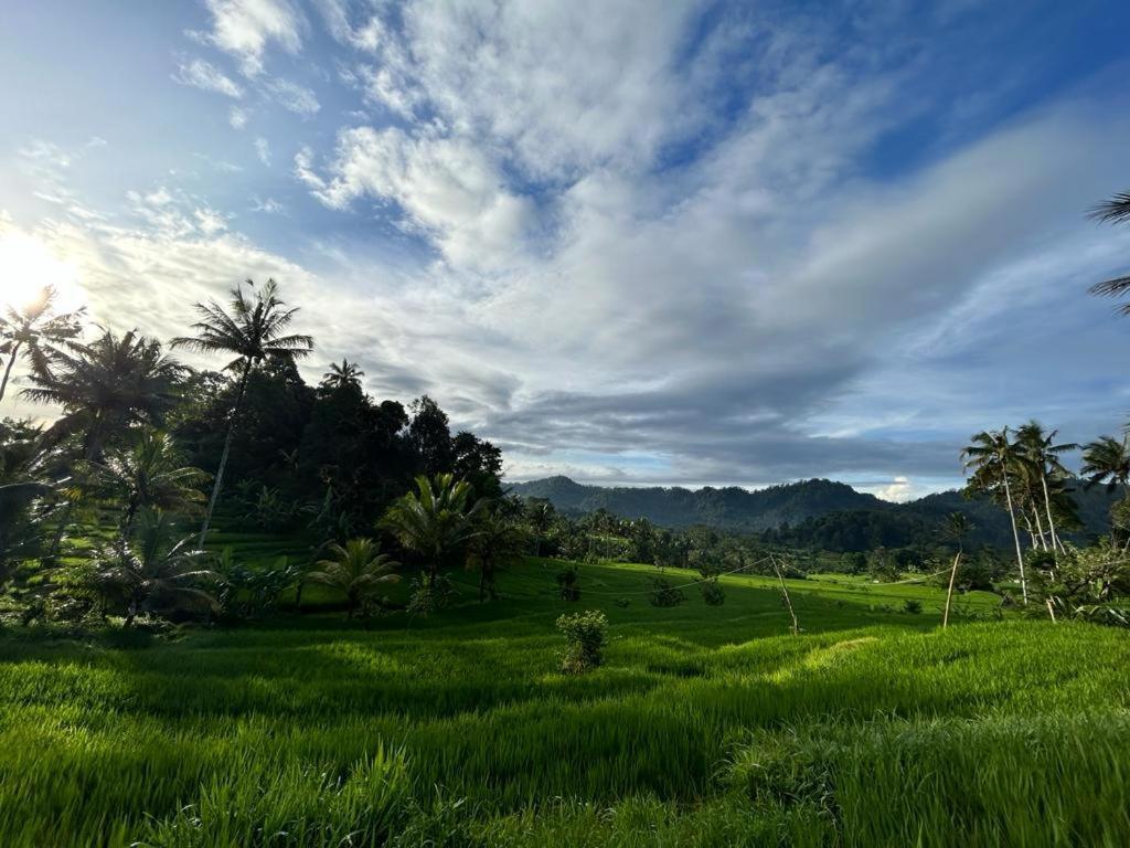 Jero Tumbuk Private Villa Selat ภายนอก รูปภาพ