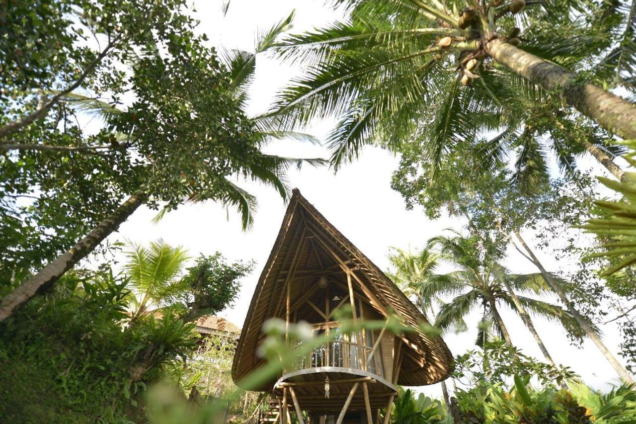 Jero Tumbuk Private Villa Selat ภายนอก รูปภาพ