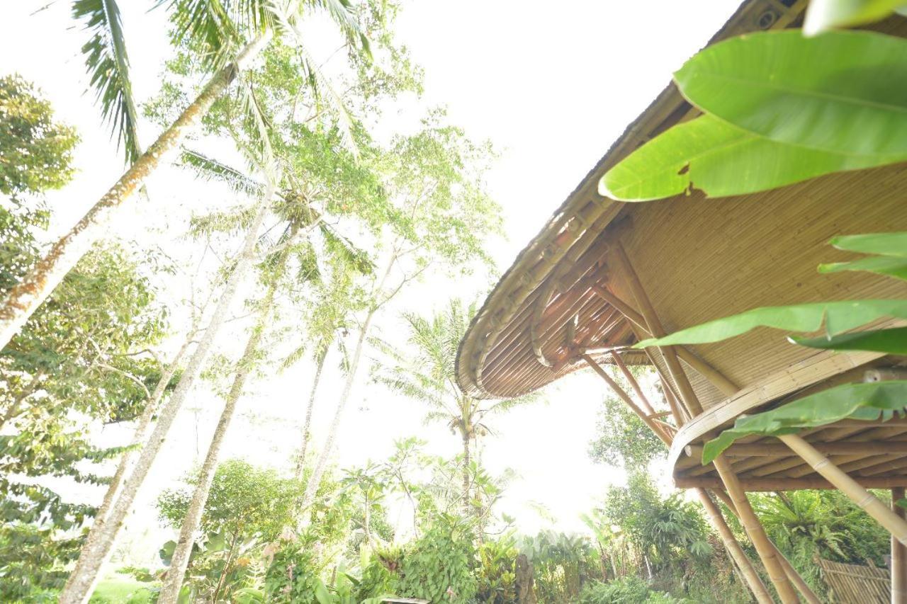 Jero Tumbuk Private Villa Selat ภายนอก รูปภาพ