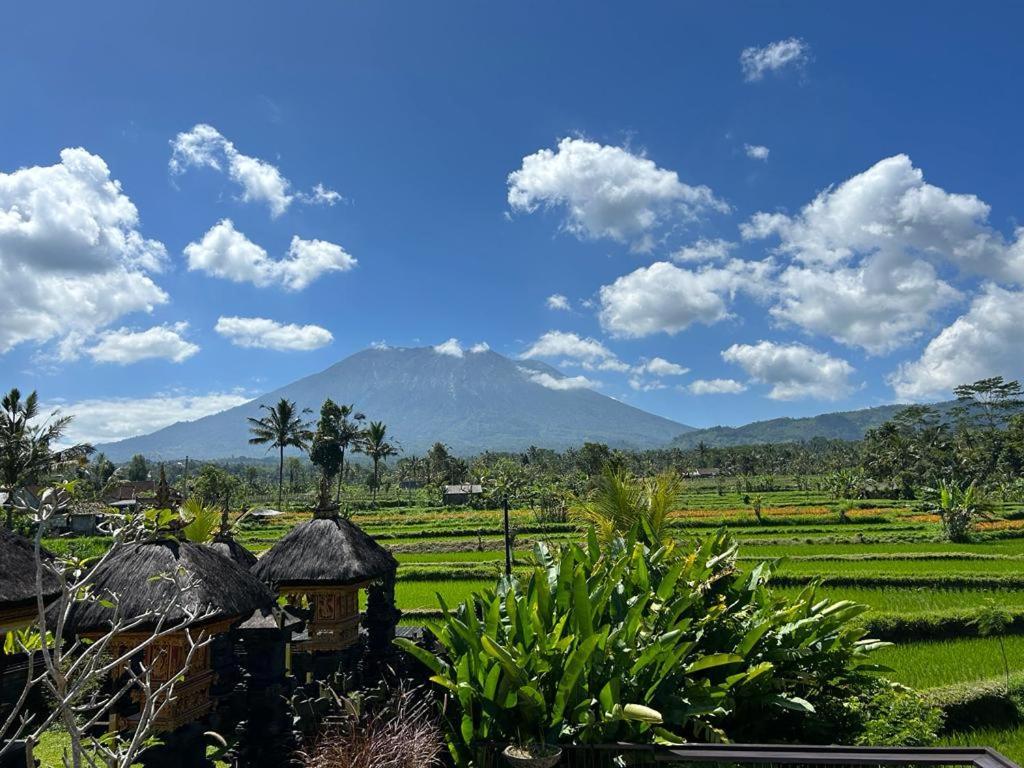 Jero Tumbuk Private Villa Selat ภายนอก รูปภาพ
